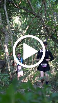 BIB:  <button type="button" onclick="openModal(28063727)" class="btn btn-primary btn-sm float-right" data-toggle="modal" data-target=".modal-high-quality">
                <i class="fa fa-download"></i> Download
                </button>